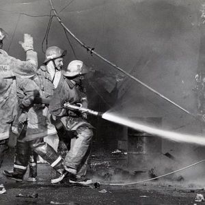 Meet your Posher, Peter